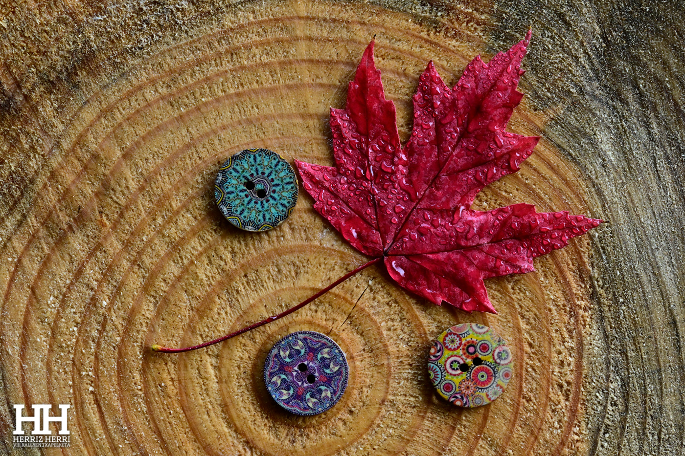 Fotografía del tema B de la colección ganadora del rally fotográfico de  Ataun 2025