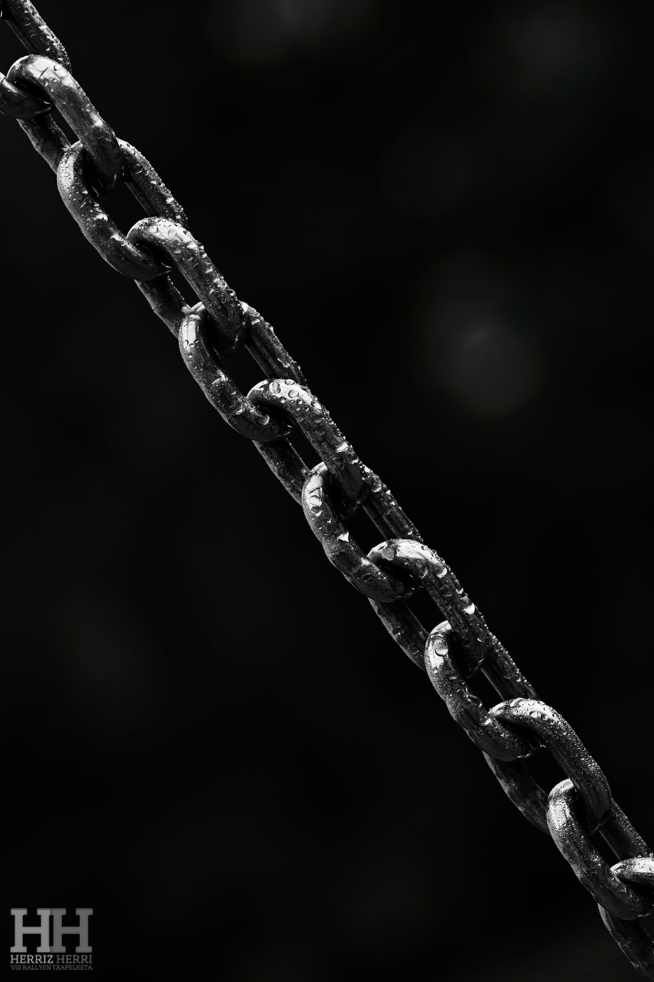 Fotografía del tema D de la colección ganadora del rally fotográfico de  Ataun 2025