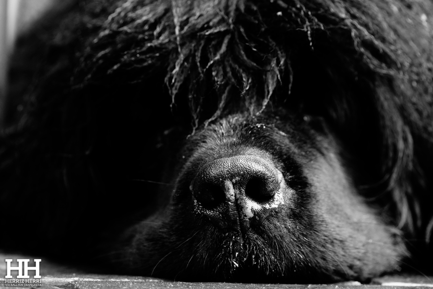 Fotografía del tema A de la segunda colección clasificada del rally fotográfico de  Ataun 2025