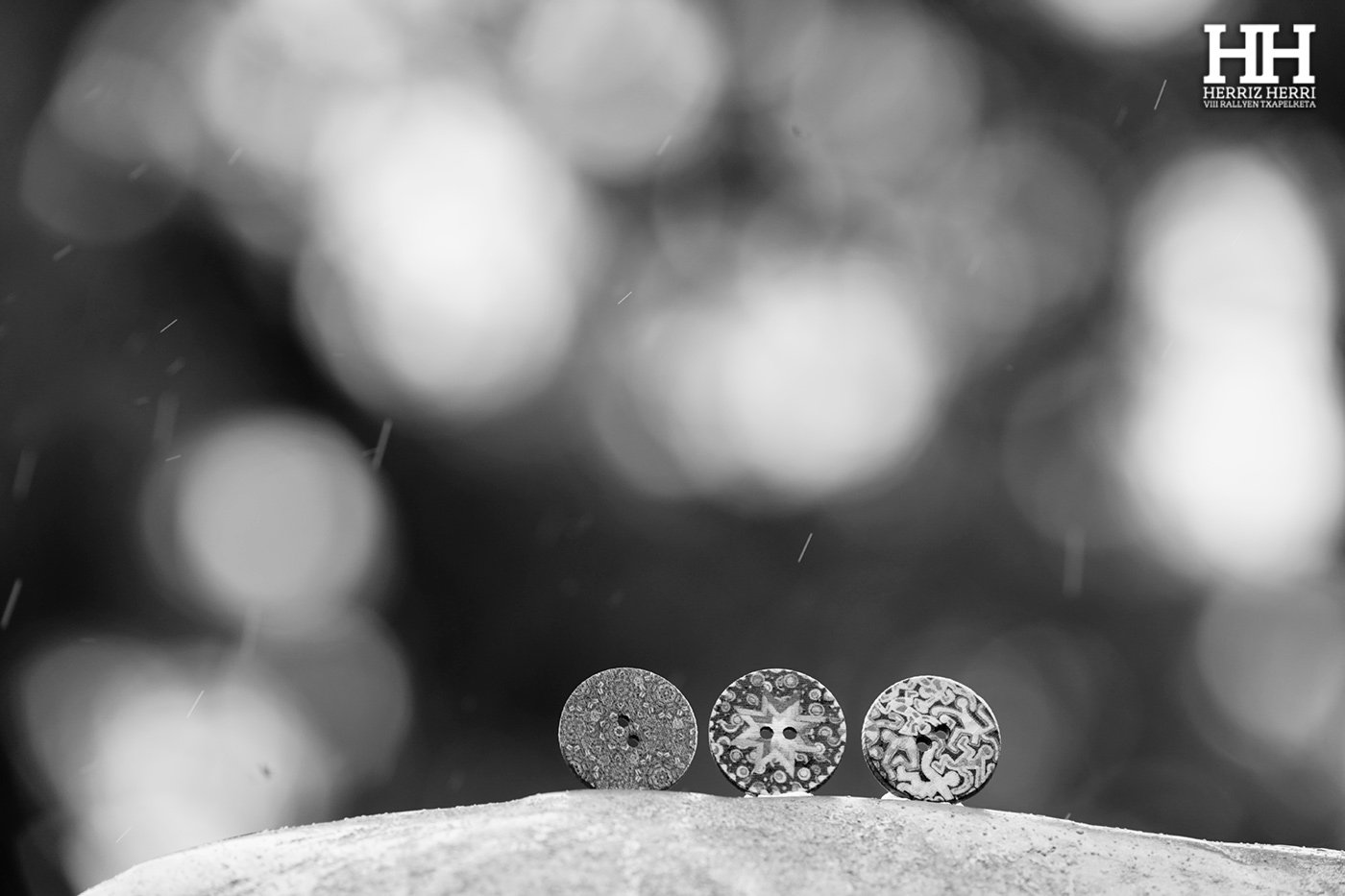 Fotografía del tema B de la segunda colección clasificada del rally fotográfico de  Ataun 2025