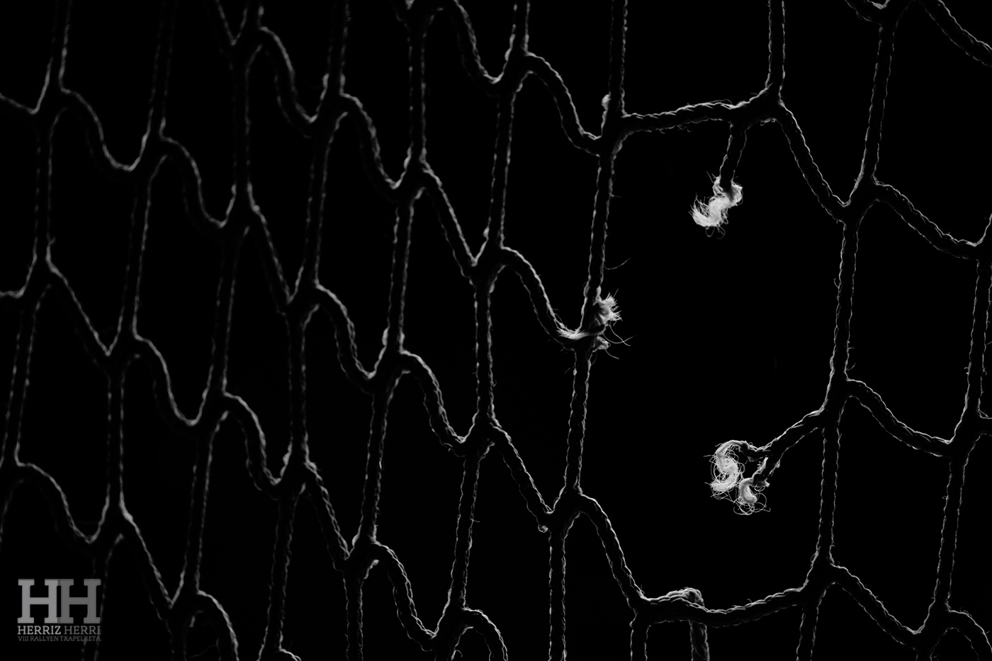 Fotografía del tema E de la segunda colección clasificada del rally fotográfico de  Ataun 2025