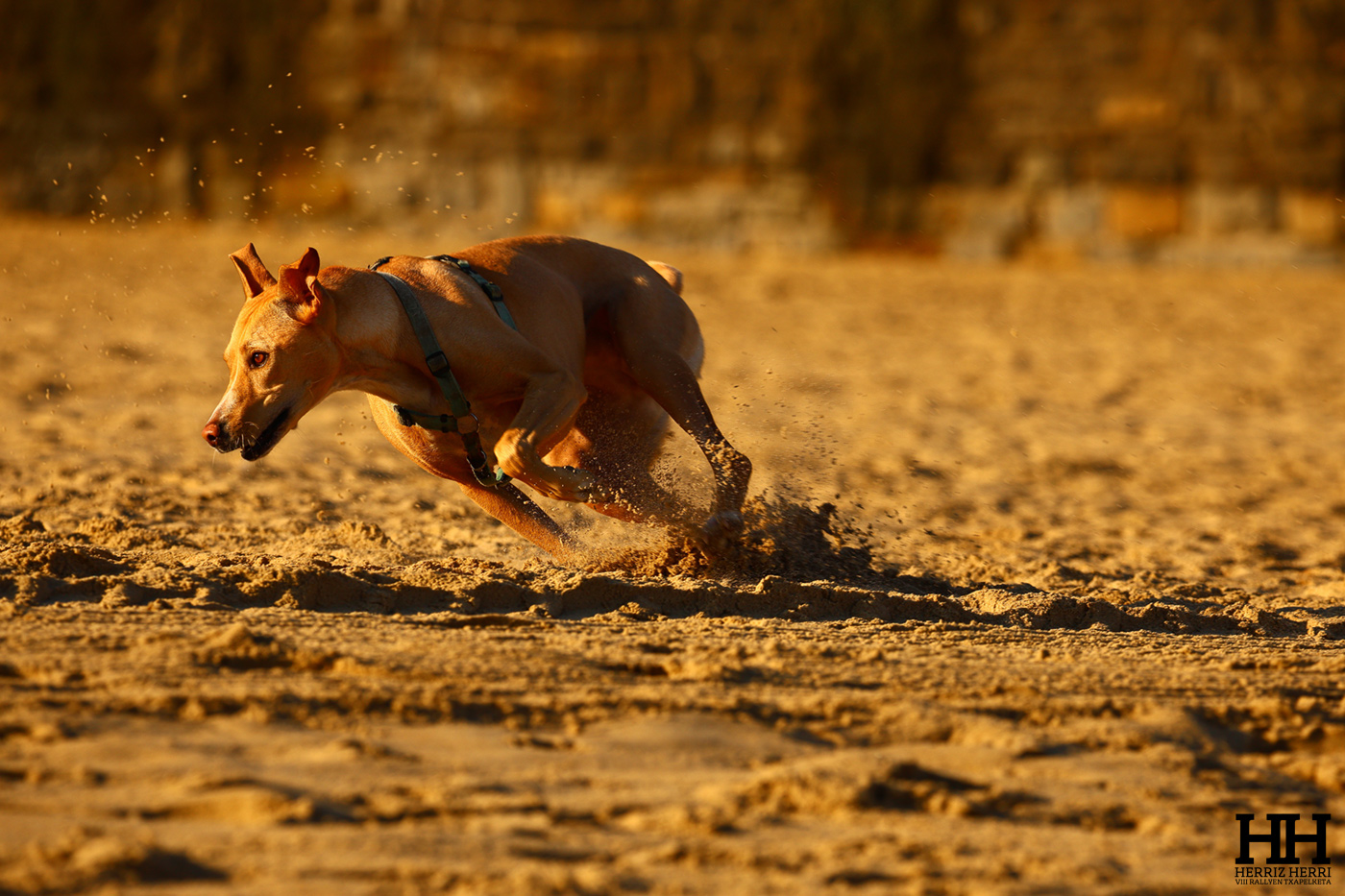 Fotografía del tema D de la segunda colección clasificada del rally fotográfico de Donosti 2025