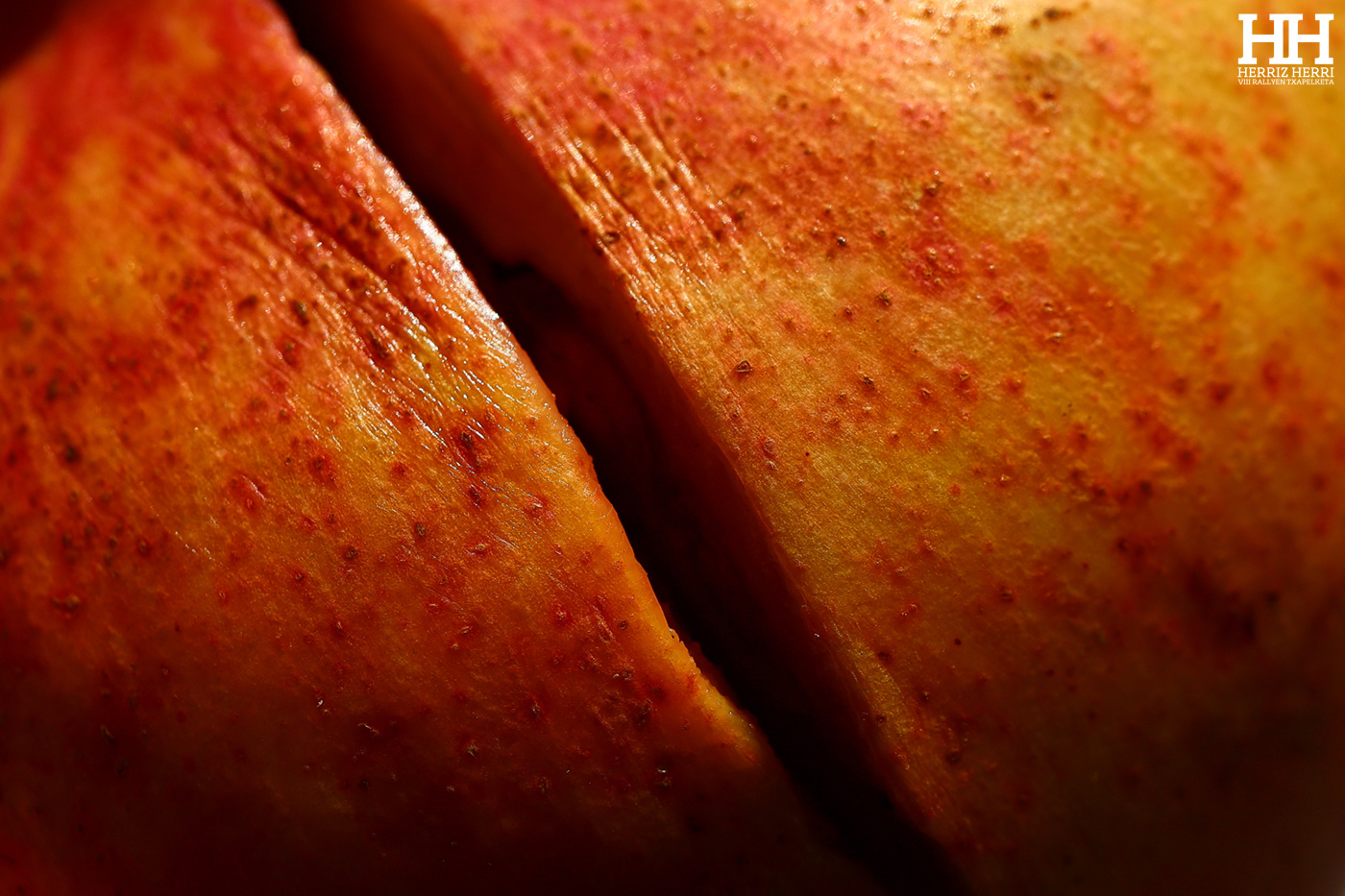 Fotografía del tema E de la segunda colección clasificada del rally fotográfico de Donosti 2025