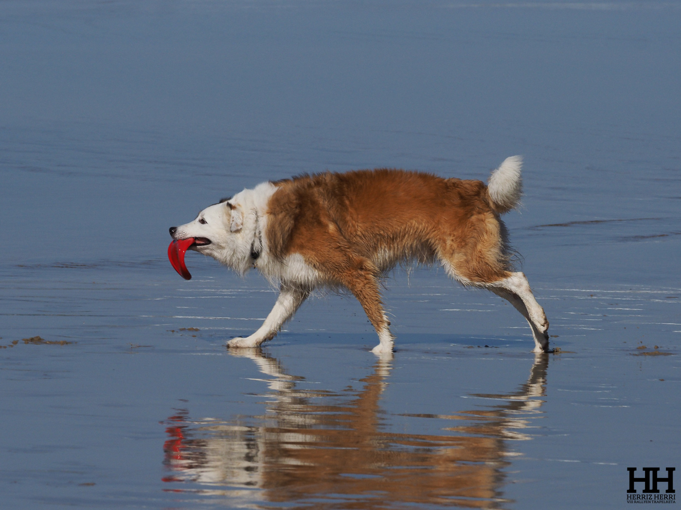 Fotografía del tema D de la tercera colección clasificada del rally fotográfico de Donosti 2025