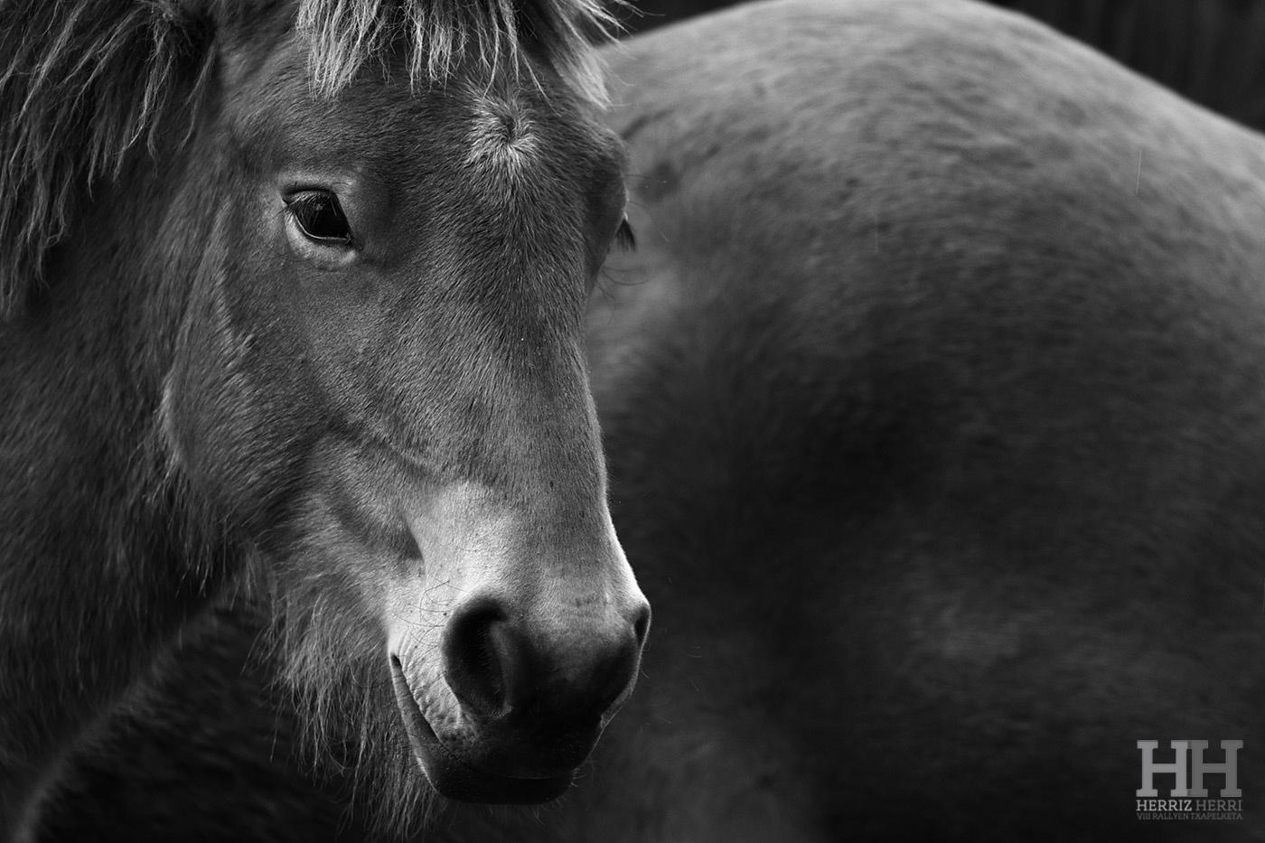 Fotografía del tema B de la tercera colección clasificada del rally fotográfico de Altsasu 2025