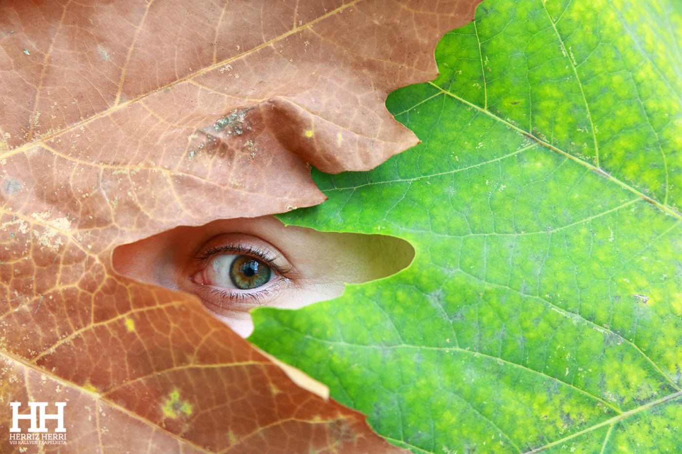 Fotografía del tema D de la tercera colección clasificada del rally fotográfico de Altsasu 2025