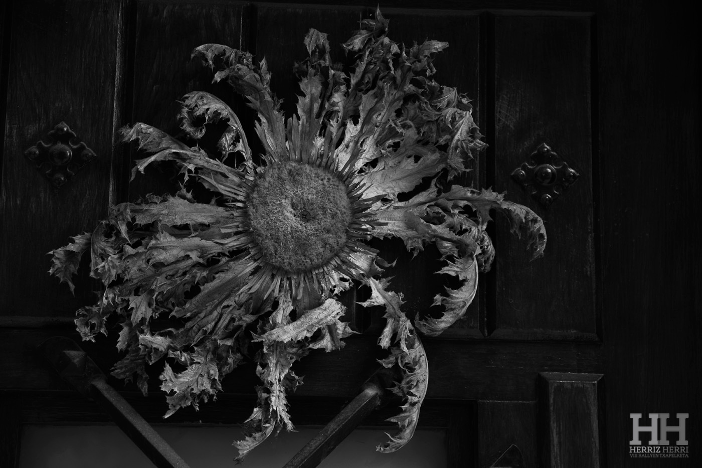 Fotografía del tema C de la colección ganadora del rally fotográfico de Altsasu 2025