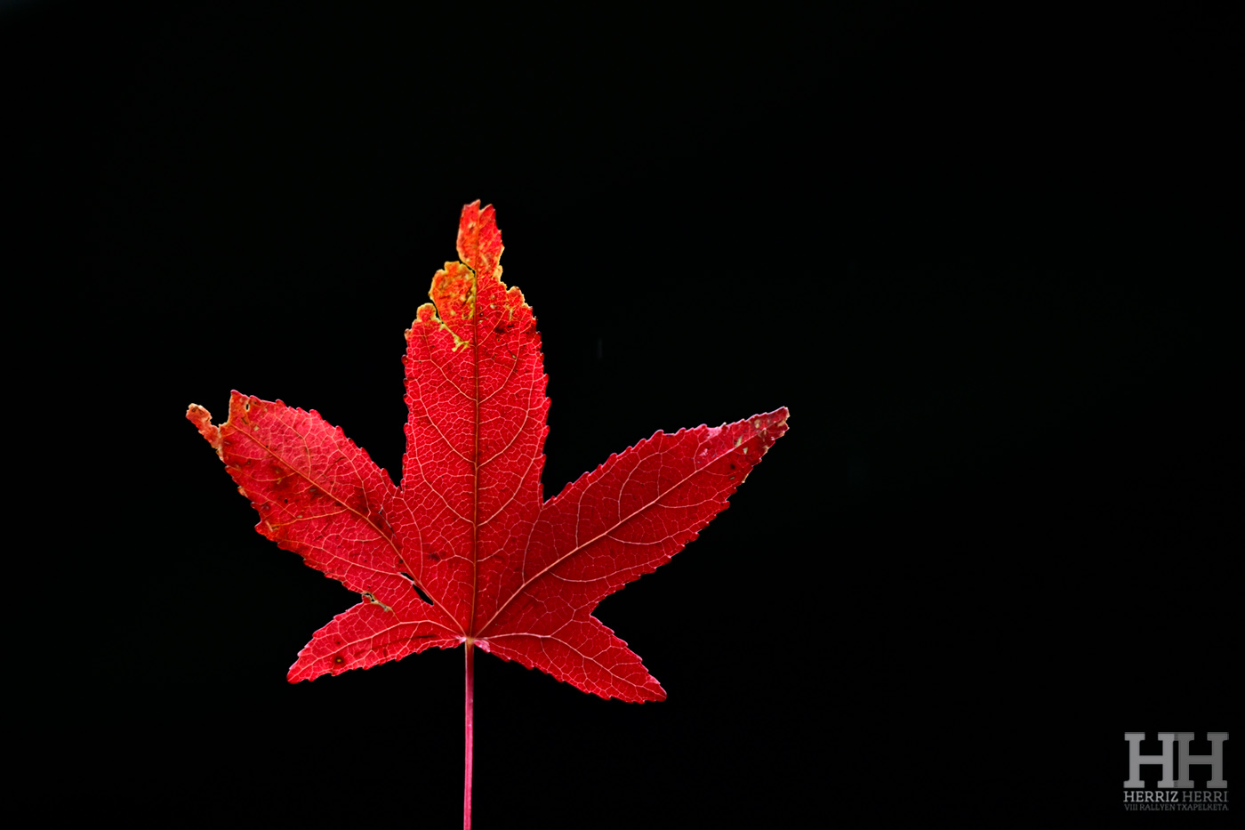 Fotografía del tema A de la colección ganadora del rally fotográfico de Beasain 2025