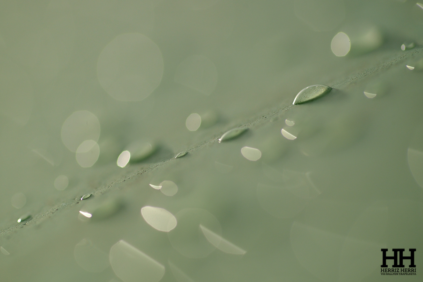 Fotografía del tema A de la colección ganadora del rally fotográfico de  Soraluze 2025