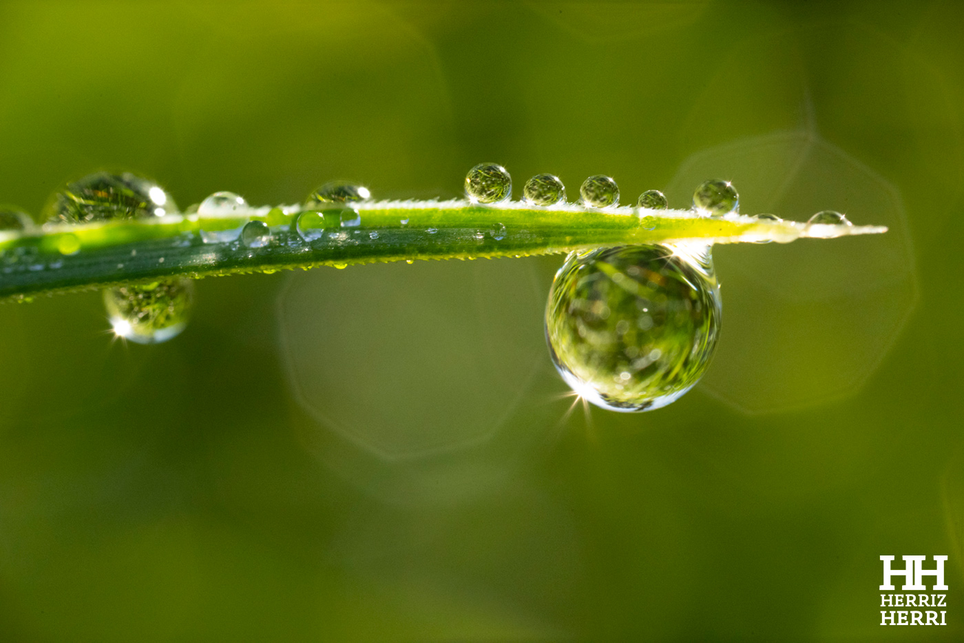 Fotografía del tema C de la colección ganadora del rally fotográfico de Amorebieta 2026