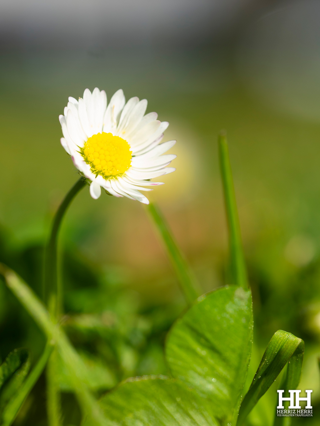 Fotografía del tema A de la tercera colección clasificada del rally fotográfico de Amorebieta 2026