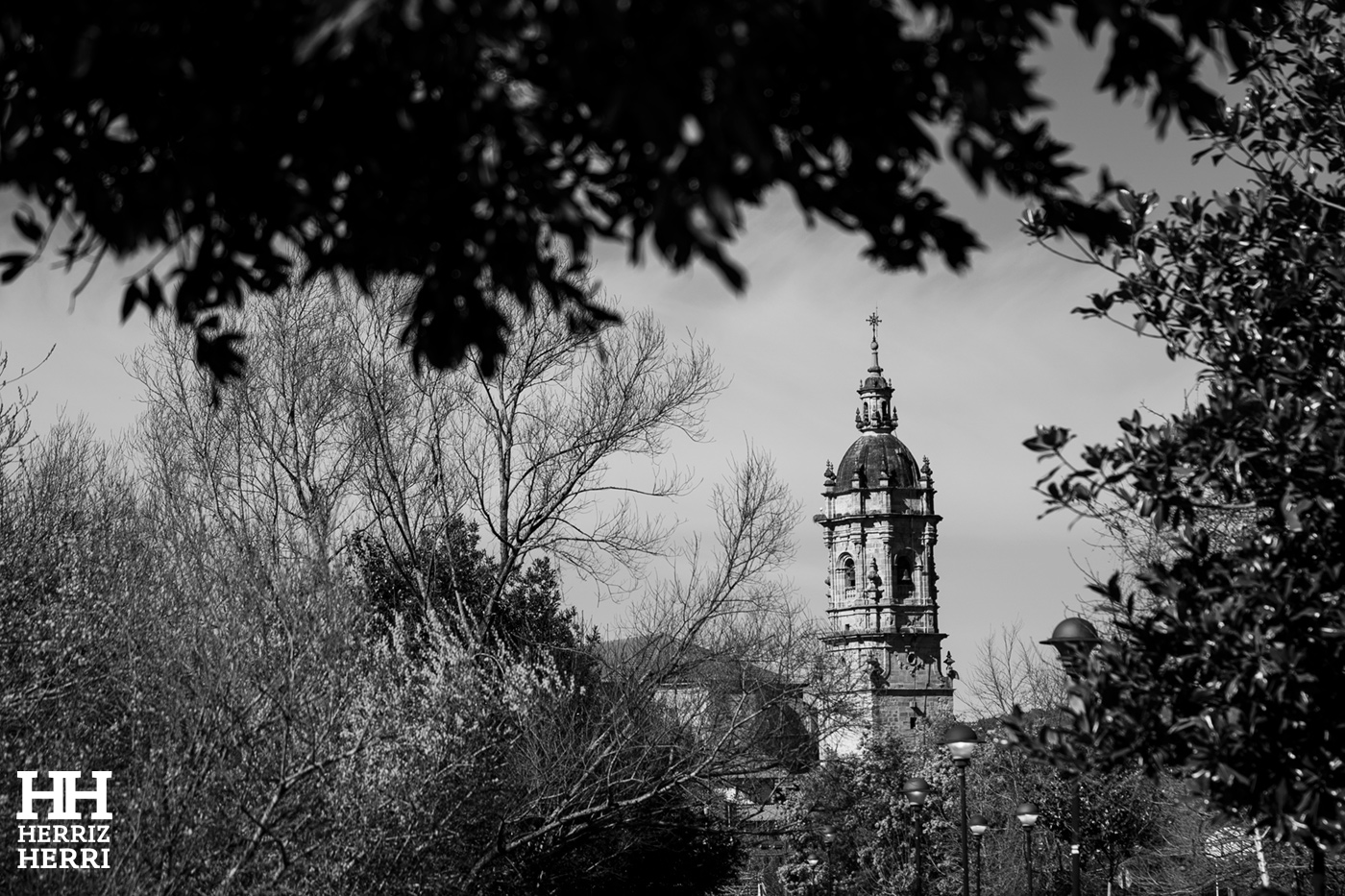 Fotografía del tema A de la mejor colección de local no premiado de Amorebieta 2026